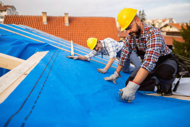 Best Roof Maintenance Services  in West Glendive, MT