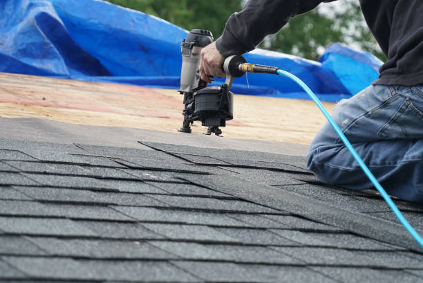 Best Local Roofing Companies  in West Glendive, MT